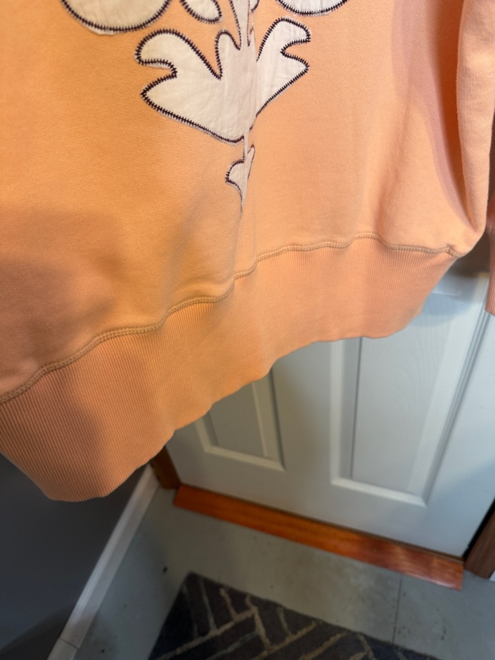 Free People  At My Best Embroidered Peach Embroidered Sleeve Hoodie - Women - Picture 5 of 9